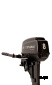 2х-тактный лодочный мотор WATERMAN T8 BMS