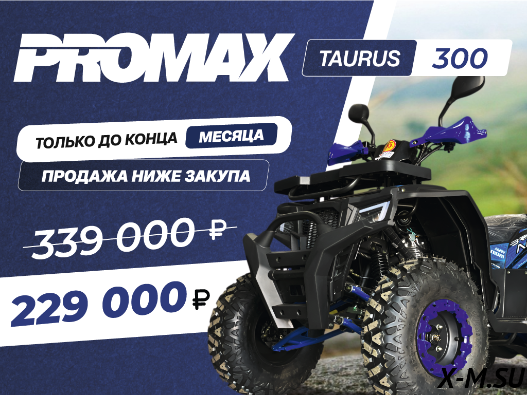 Квадроцикл PROMAX TAURUS 300 Квадроцикл PROMAX TAURUS 300