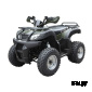 Квадроцикл ATV Beorn 200 