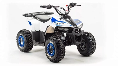 Квадроцикл MOTOLAND (МОТОЛЕНД) 110 EAGLE