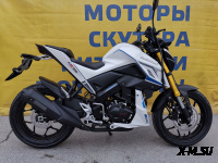 Мотоцикл MOTOLAND (МОТОЛЕНД) 250 MT250 (172FMM-5/PR250)